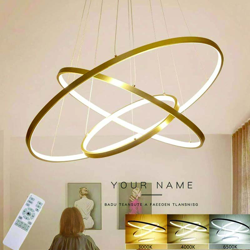 Ring Shaped Aluminum Chandelier Aslam Lighting 04 Ring Shaped Aluminum Chandelier Aslam Lighting 04