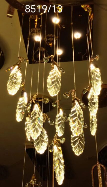 WhatsApp Image 2024 09 26 at 4.31.43 PM